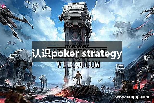 认识poker strategy